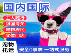 吐鲁番交河机场邮寄国际宠物托运 【国